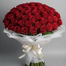 Букет 101 Красная роза Блэк Мэджик в Архангельской