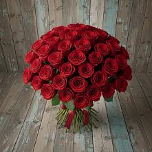 Букет 55 Красных роз Фридом #REPLACE_PRED# Архангельской
