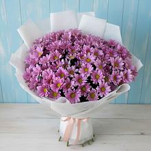 Букет цветов из:  Хризантемы в Архангельской