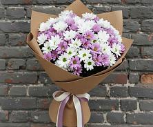 Букет цветов из:  Хризантемы #REPLACE_PRED# Архангельской