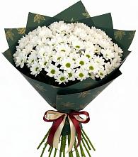 Букет цветов из:  Хризантемы #REPLACE_PRED# Архангельской