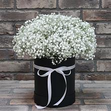 Цветочная композиция из Гипсофила в шляпной коробке в Архангельской