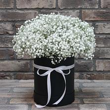 Цветочная композиция из Гипсофила в шляпной коробке в Архангельской