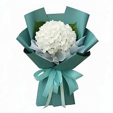 Букет цветов из:  Гортензия в Архангельской
